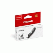 Cartouche D Encre Canon Pixma Chroma Life 100 Ts8750 S Bl Gris - gris 3663725039136 Cartouche D Encre Canon Pixma Chroma Life 100 Ts8750 S Bl Gris - gris 3663725039136