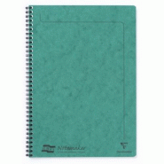 Clairefontaine Lot de 10 Cahier Europa Notemaker A4, 120p./60 feuilles détachables 90 g/m² reliure intégrale, ligné, coloris vert - 5016196048639