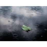 Gestion des eaux pluviales