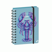 Quo Vadis - Carnet de cuisine - Spiralé - Français - Carnets thématiques - Multicolore - 15x21 cm - Papier Clairefontaine blanc - bleu 2371346Q Quo Vadis - Carnet de cuisine - Spiralé - Français - Carnets thématiques - Multicolore - 15x21 cm - Papier Clairefontaine blanc - bleu 2371346Q