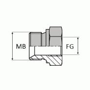 Adaptateur droit mâle BSP pour bague BS x femelle gaz cylindrique concentrique - MBSPCT1/4 / FG1/8 CONC - Ø FG 1/8' (8.56 mm) - Ø MB 1/4' (13.15 mm) - BMFCY0402C