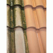 DALEP 2100 Traitement Professionnel Concentré - Fongicide - Hydrofuge - 1L à diluer pour 16m²