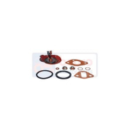 Kit réparation pompe d'alimentation - référence : pt-101-5.O  - jag99-0209
