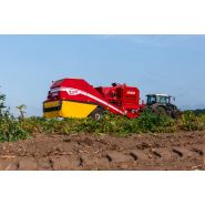 Arracheuse evo 290 2 rangs - grimme france - capacité du trémie 9000 kg