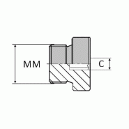 Bouchon mâle ISO bague BS DIN 908 - 6 pans creux - 30X150 , 16