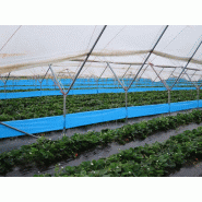 Bande engluée professionnelle 100m - Thrips et nuisibles - Bleu - Résistante aux UV