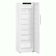 Liebherr Armoire réfrigérée négative blanche - 273 litres - FFFvg 4001 - FFFvg 4001