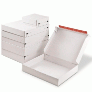 Boîte d'expédition blanche fermeture adhésive 445x379x80mm