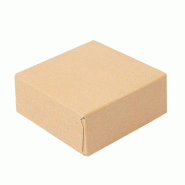 Boite snacking micro-ondable The Pack carton ondulé nano micro 23x23x5cm - x300