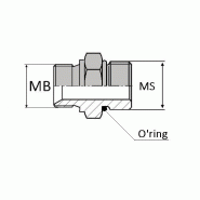 Adaptateur droit mâle BSP pour bague BS x mâle SAE - BMMSA00204 - Avec joint o'ring