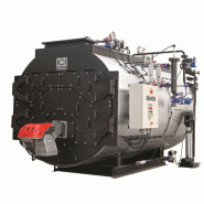 Chaudière à vapeur GX C - Récupération de chaleur des gaz d'échappement - 12 ou 15 bar