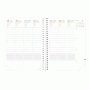 QUO VADIS time&life xlarge rep fr cuivre elast - 572011q QUO VADIS time&life xlarge rep fr cuivre elast - 572011q