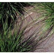 Toile de paillage tissée Bio - 1 m - résistante aux UV et compostable - rouleau de 100m