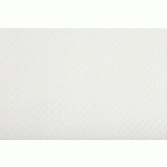Pronappe - Réf.354051I - Carton de 2000 Sets de table en papier glacé 54g/m2 TISS LACK - 30 x 40 cm - 4 barquettes de 500 sets Blanc - blanc papier