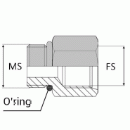 Droit mâle SAE x femelle SAE - 1"5/16' , 31.04 , 7/8' , 22.22