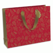 Clairefontaine Lot de 6 Sac cadeau Pomme d'amour, format large (26,5x14x33 cm), papier 210 g/m², anses coton - 5033601498339