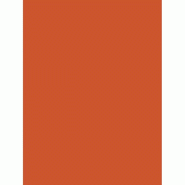 Maildor Paquet filmé de 25 feuilles de papier Affiche, 90 g/m², 0,60m x 0,80m, coloris orange - 3065503845586