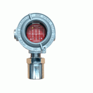 Détecteurs de gaz RAS/AD - Réf. : OGG0001 - ATEX certifié II 2 G Ex d IIC T6 - Boîtier aluminium ou inox - IP65