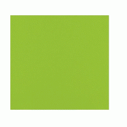 ECOLOMIQUE - 40 Pcs - Serviette micro point vert citron - 38 x 38 cm, 2 plis - vert papier ECO210SMP4040LG