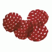 Disque pour la coupe de gaufrettes 4 mm - Ø 190 mm | Robot Coupe - W | Robotcoupe - 28177