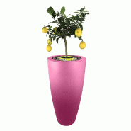 PLAST'UP ROTOMOULAGE Pot de fleurs conique delight 200l - ROSE - rose 0669014882240