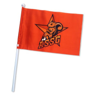 Drapeau de supporter 30 x 20 cm - DS 45_0