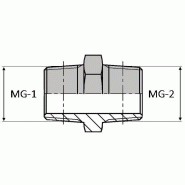 Adaptateur droit mâle gaz conique x mâle gaz conique - WUMCO00202 - UMGCO 1/8 / 1/8 - Ø 9.72 mm