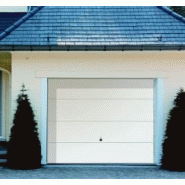 Porte de garage basculante motif 825 / motorisée / débordante / avec rail de guidage_1