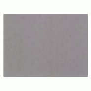 Set de table intissé gris 30x40cm - par 800