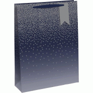 Clairefontaine Lot de 6 Sac cadeau Pluie d'étoiles, grand format (26,5x14x33 cm), papier 210 g/m², anses ruban assorties - 5033601004738