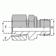 Adaptateurs BSP (Whitworth) - Pré-serti conique - FFTCO00604 - FTCO 06S/1/4