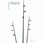 Lampadaire urbain trident / en aluminium thermolaqué