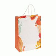Sac luxe "Color " poignées corde 19x9x27cm - par 10