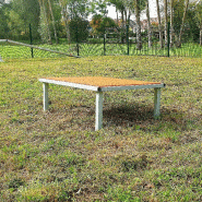 Table parcours canin