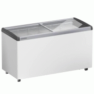 Congélateur vitrine pour crème glacée - Coulissant vitré - 339 L | Liebherr - EFE 4602