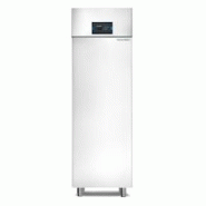 TECHFROST Armoire Pâtissière GN2/1 Haut Rendement - Série Top - -25/-10°C - Capacité 450L - 1 Porte Pleine - Acier Inoxydable - 635x810x2090 - EG40+ TECHFROST Armoire Pâtissière GN2/1 Haut Rendement - Série Top - -25/-10°C - Capacité 450L - 1 Porte Pleine - Acier Inoxydable - 635x810x2090 - EG40+