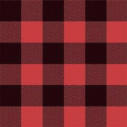 Serviettes 33x33cm plaid carreaux (240 unités) MESA BELLA - rouge papier 3701168929451 Serviettes 33x33cm plaid carreaux (240 unités) MESA BELLA - rouge papier 3701168929451