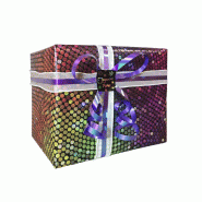 Papier cadeau Holografica 0,70cm x25m