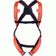 DELTA PLUS Harnais 2 Points Antichute Dorsal, Sternal Acier, Polyester Orange - orange multi-matériau 3295249180553