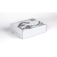 Fefco 427 - s64 boîte cadeau boite d'expédition personnalisée - smartpack - 30,2×21,2×10 cm