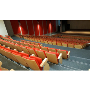 Fauteuil   d'amphithéâtre  à piétement latéral métallique avec Assise relevable - EUCLIDE_1