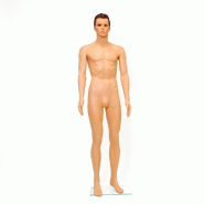 Mannequin Homme Nude avec Tête/Tenon H186cm - PVC robuste et léger - Socle stable