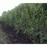 Tuteurs en composite (100) - 1m, 7mm - légers, réutilisables et durables_0