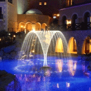 Fontaine flottante palmier