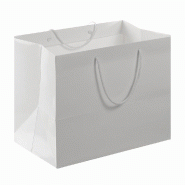 Sac verni blanc papier avec anses 30x46x35cm - par 50