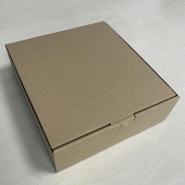 Boîte postale extra plate 20.5x23x7cm - par 20