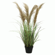 Herbes de la pampa H 110 cm