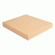 Boite traiteur The Pack carton ondulé nano micro naturel 32x27x4,5cm - par 150