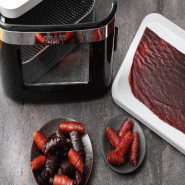 GRAEF - DA2042 Séchoir - noir plastique DA2042