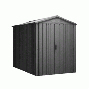 WASABI Hoggar - Abri Pioneer Y50 - 4,30m² - Abri extérieur métallique - Construction IronCore® - Portes premium - Anti-corrosion - gris métal G01